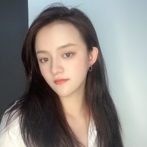 Korea Dongdaemun ear buckles commuting niche design sense earrings light luxury versatile French women's ins trinkets wholesale
