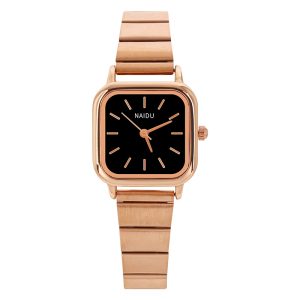 Manufacturer Wholesale Watches Women's NAIDU Series French Vintage Small Square Steel Strap Watch Women's Quartz Watch