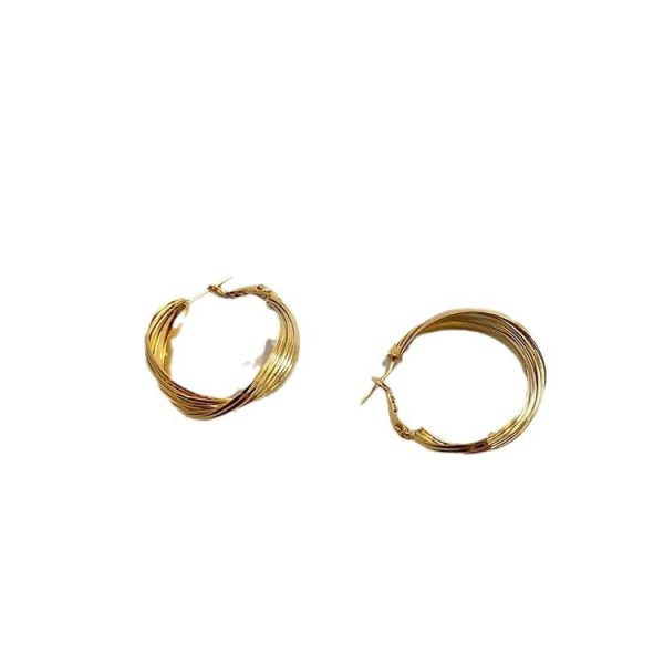 S925 silver needle French vintage metal earrings women's niche design high-end Hong Kong style twisted earrings versatile earrings - Image 5