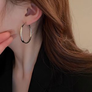 French Metal Circle Earrings Plain Ring Earrings 2024 New Trendy Niche Design Sense Unique Temperament Earrings Women