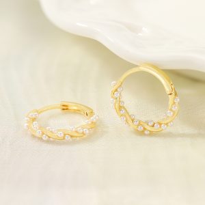 Earrings for women S925 silver needle micro-inlaid zircon earrings French fashion earrings light luxury high-end earrings wholesale women