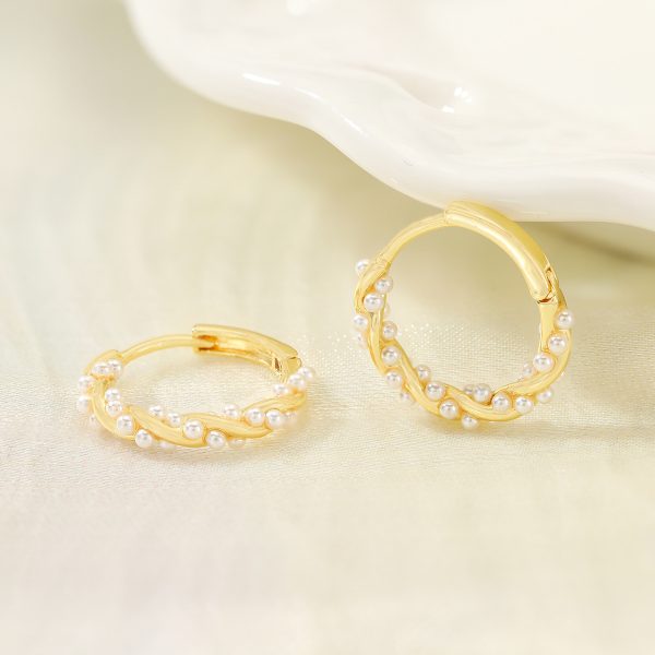 Earrings for women S925 silver needle micro-inlaid zircon earrings French fashion earrings light luxury high-end earrings wholesale women - Image 2