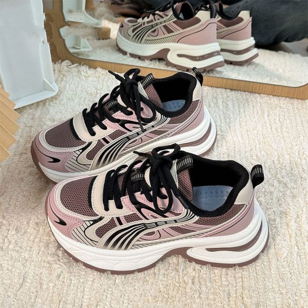 2025 spring/summer new student mesh breathable dad shoes women's Korean version of ins trendy street shooting retro platform sneakers - Image 2