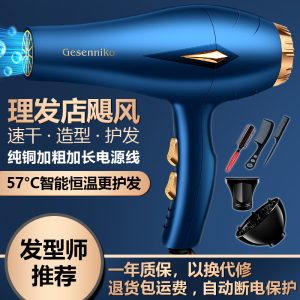 New barber shop constant temperature high wind power hair dryer blue light fast drying hair care high power household hair dryer batch hair