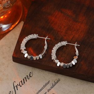 Earrings for women S925 silver needle micro-inlaid zircon earrings French fashion earrings light luxury high-end earrings wholesale women