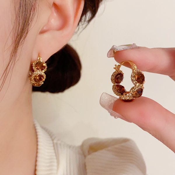 French retro temperament, Hong Kong style, exquisite zircon circle earrings, niche design, light luxury, high-end fashion earrings, women