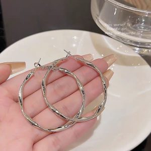 Fashion hoop earrings, women's face, suitable French temperament earrings, light luxury, high-end plain rings, French ear buckles, Yiwu