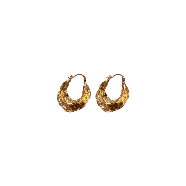 French vintage metal pleated earrings, niche design, new cool style simple earrings, earrings - Image 5